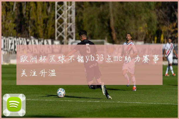 欧洲杯买球不错yb33点me助力赛事关注升温
