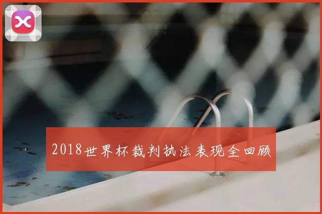 2018世界杯裁判执法表现全回顾