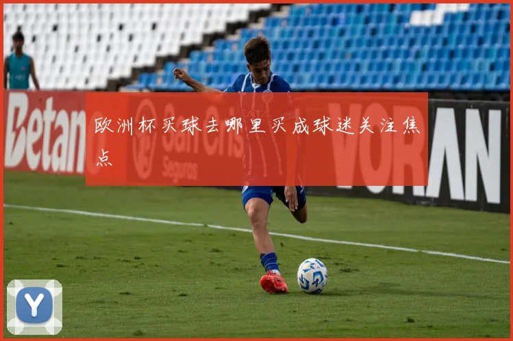 欧洲杯买球去哪里买成球迷关注焦点