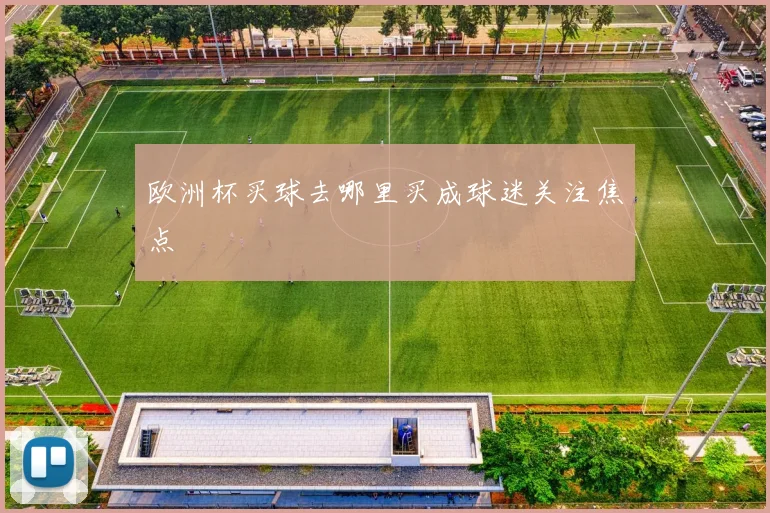 欧洲杯买球去哪里买成球迷关注焦点