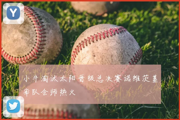 小牛淘汰太阳晋级总决赛诺维茨基率队会师热火