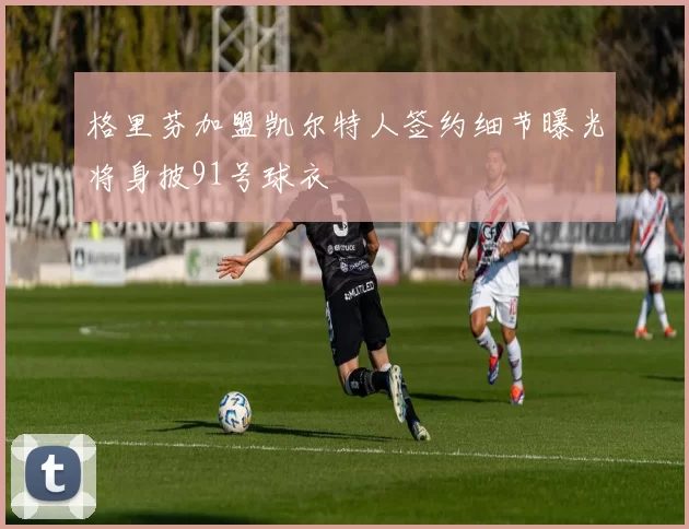 格里芬加盟凯尔特人签约细节曝光将身披91号球衣