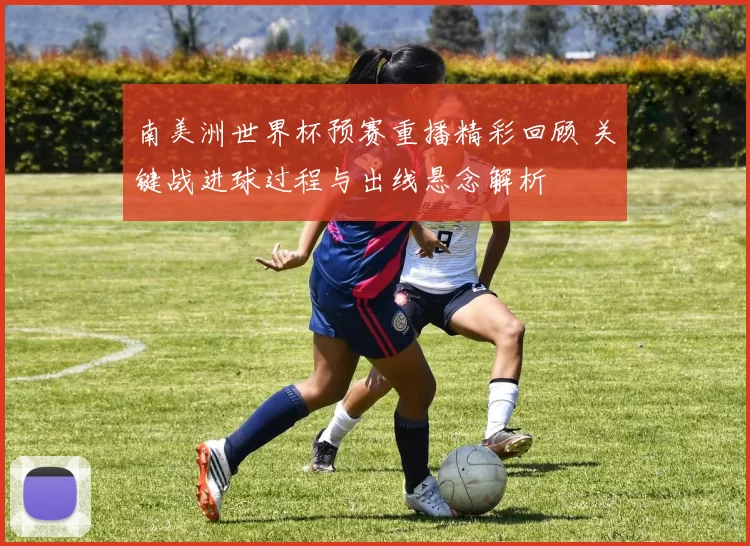 南美洲世界杯预赛重播精彩回顾 关键战进球过程与出线悬念解析